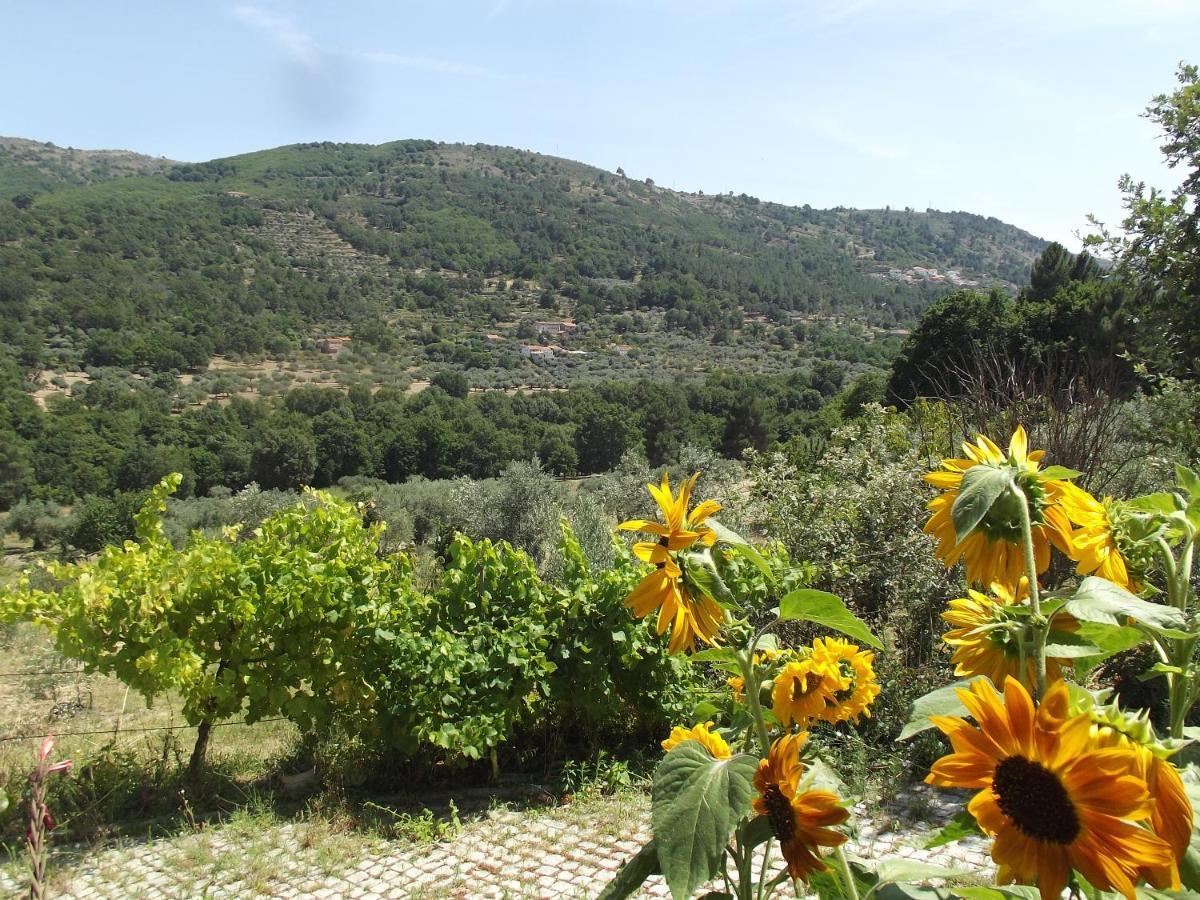 Quinta Do Pina Daire Guarda Dış mekan fotoğraf