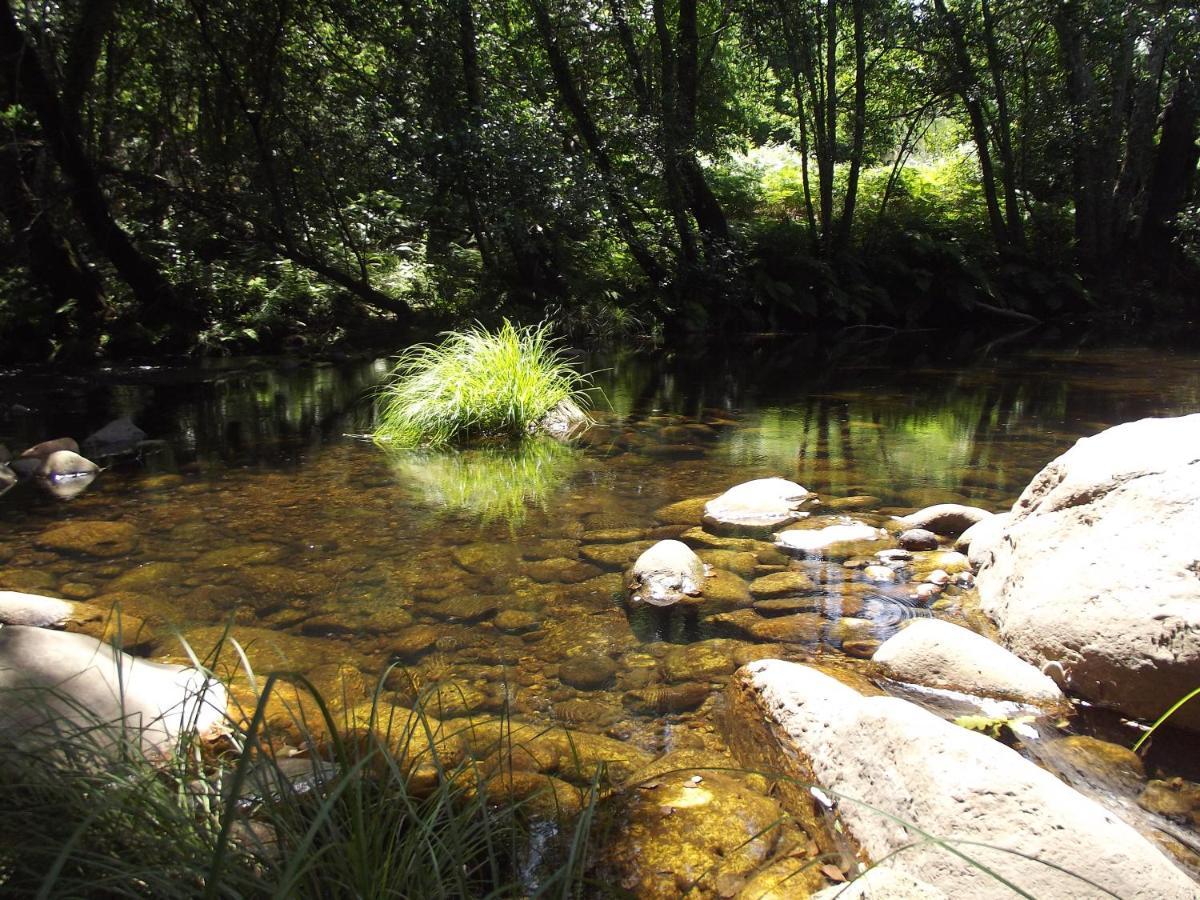 Quinta Do Pina Daire Guarda Dış mekan fotoğraf