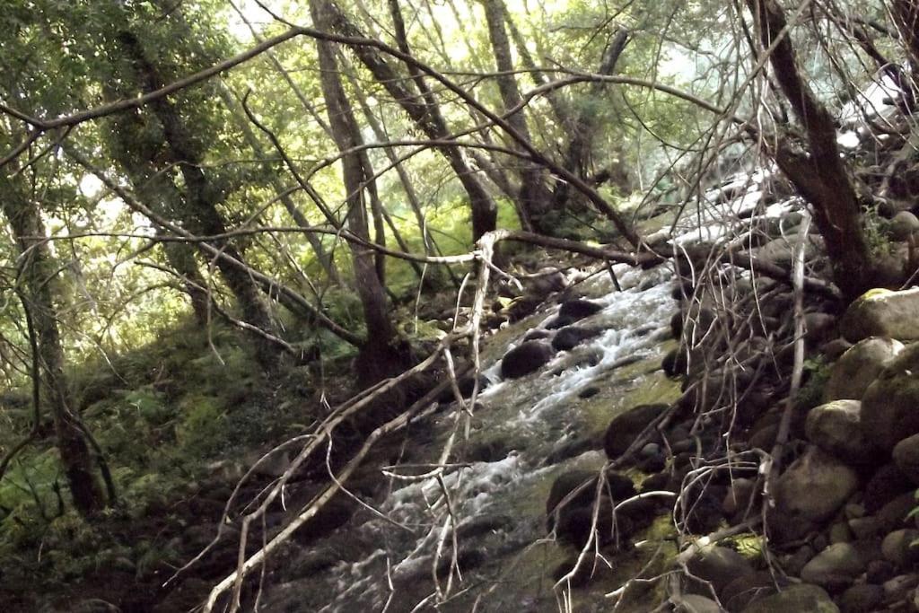 Quinta Do Pina Daire Guarda Dış mekan fotoğraf