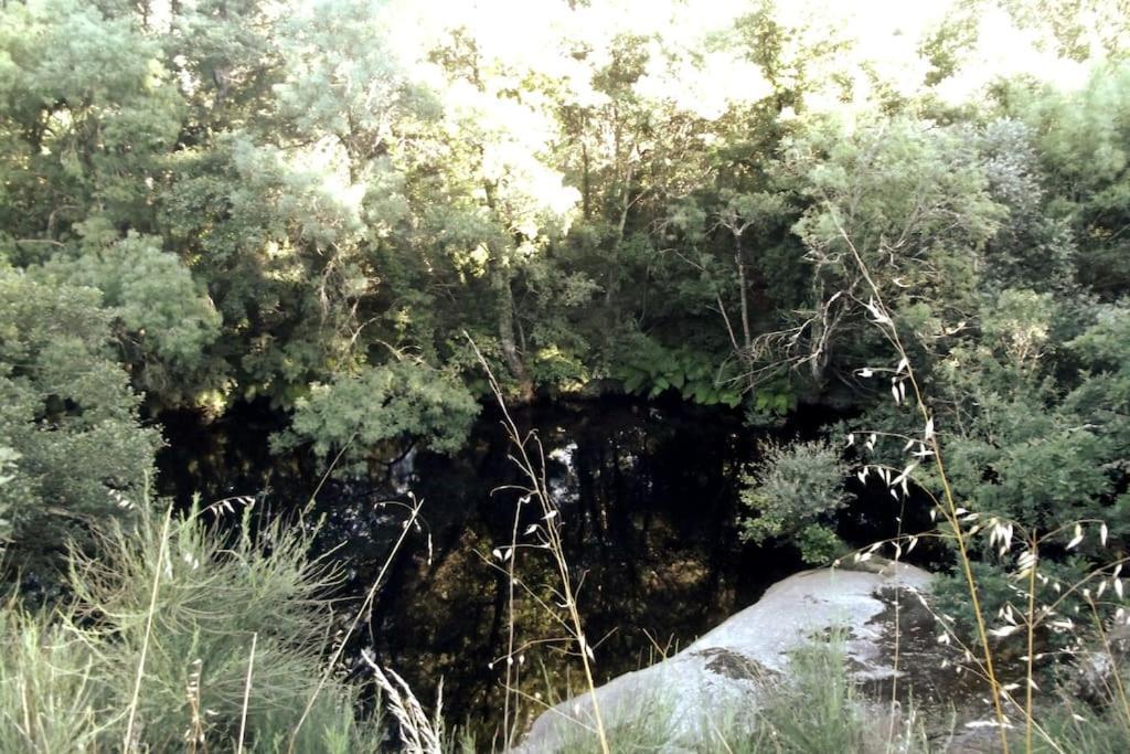 Quinta Do Pina Daire Guarda Dış mekan fotoğraf